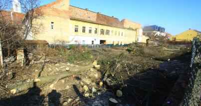 Beigazolódik: zöldövezetet  taroltak le a Petőfi utcában