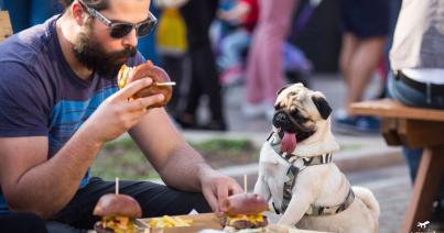 Rekordszámú stand a kolozsvári Street Food Fesztiválon