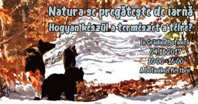 Hogyan készül a természet a télre? Holnap kiderül a botanikus kertben