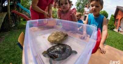 Állatvilágról az ANYÓ óvodásainak a Tóközben