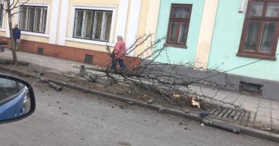 Levált utánfutó döntötte ki a fákat a Mócok útján