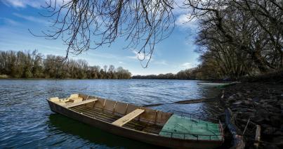 A szőke Tisza fekete napjai - 20 éve történt a tiszai ciánszennyezés