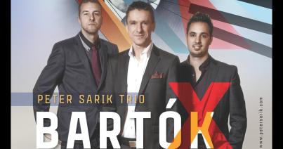 A Sárik Péter Trió online jazzkoncertjéről