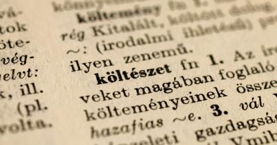 „Szükségünk van a nyelv ünnepnapjaira”