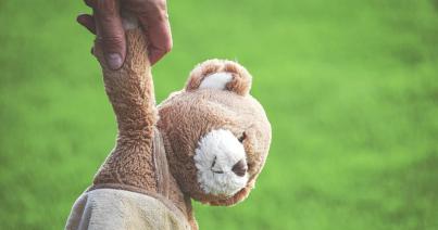 Csobánkutya, kígyó, medve nem játék – mit tehet a kiránduló?
