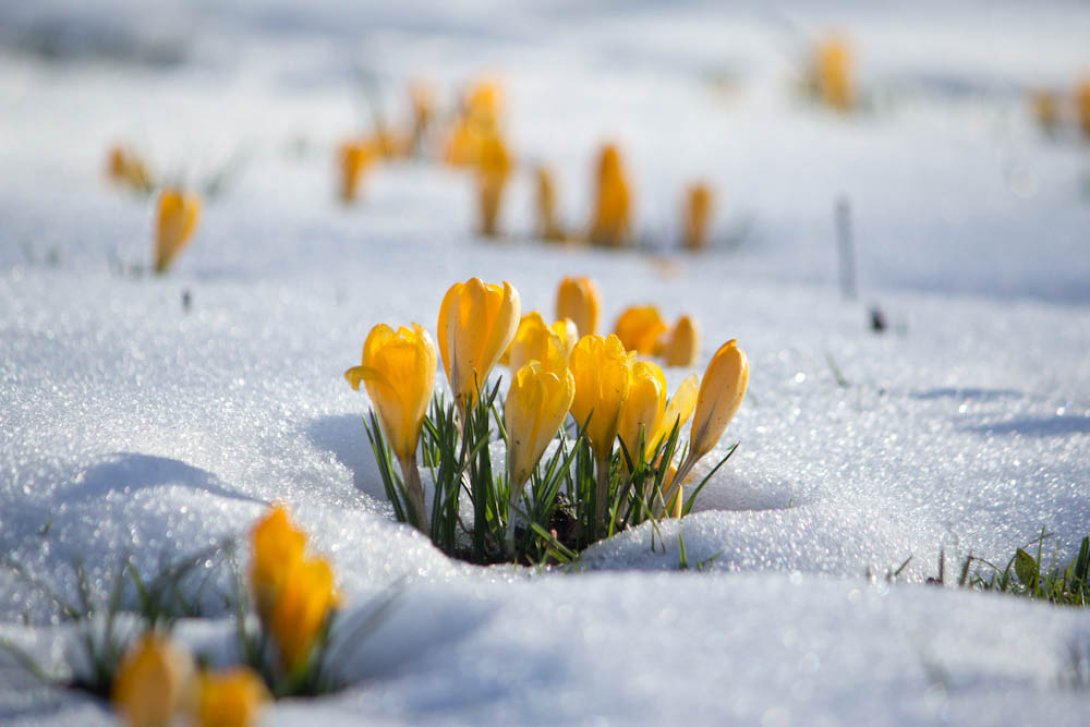 Január utolsó hetében enyhébb idő lesz a megszokottnál